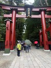 ファイル 1676-3.jpg
