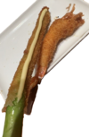 ファイル 1720-5.png