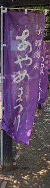 ファイル 1652-1.jpg