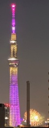 ファイル 1661-2.jpg